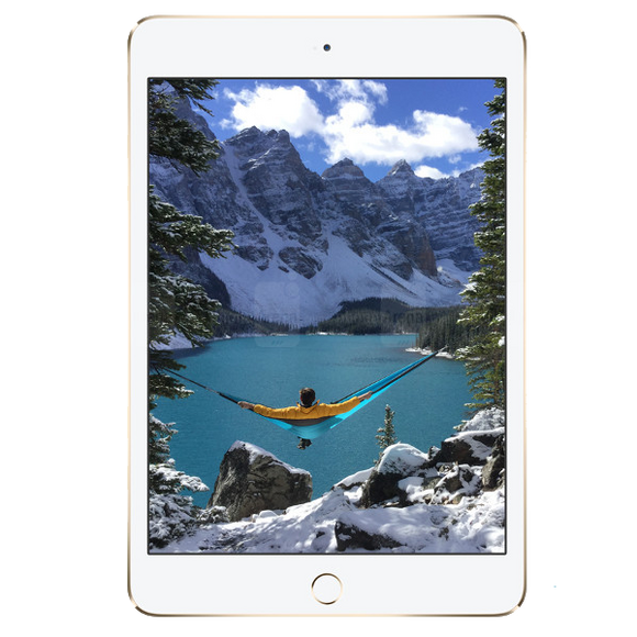 repair ipad mini 4 Screen replacement in Hamilton