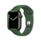 Repair Apple Watch Series 7 (GPS) - 45mm
